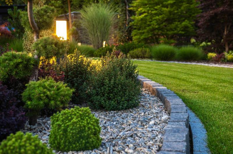 Entretien du jardin : astuces pour un espace vert impeccable