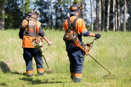Pourquoi d&eacute;broussailler un terrain pr&egrave;s de Pont-&agrave;-Mousson ?